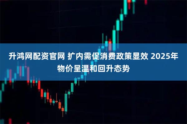 升鸿网配资官网 扩内需促消费政策显效 2025年物价呈温和回升态势